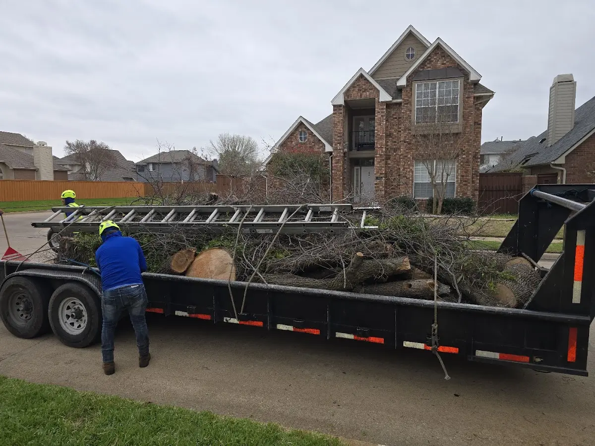 Expert Tree Fertilization with proper safety equipment in Rogers